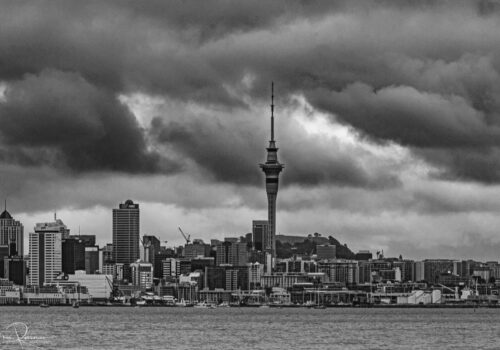 Auckland NZ