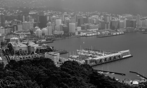 Wellington harbour